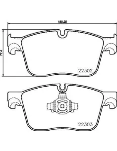 P36031