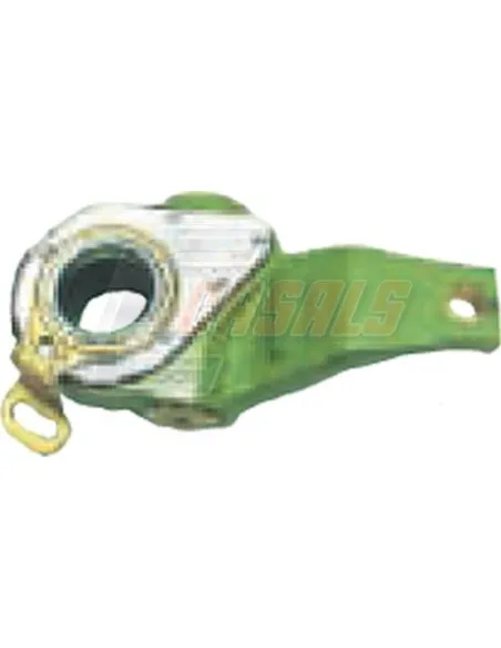 CASALS12145