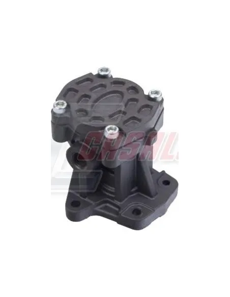 Bomba De Alimentacion Man