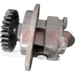 Bomba De Alimentacion Rvi