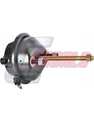 CASALS4603