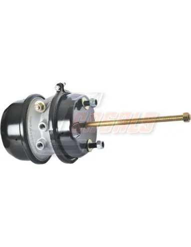 CASALS4606