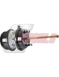 CASALS4607