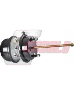 CASALS4608