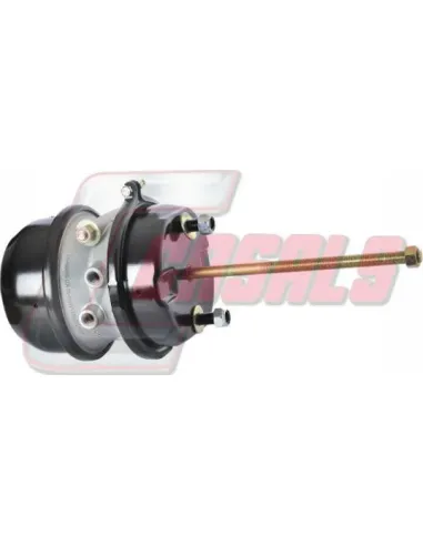 CASALS4608