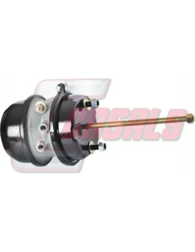 CASALS4609