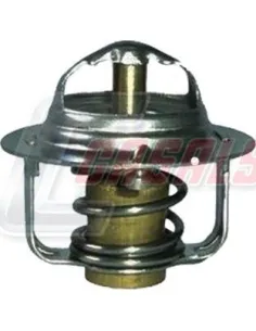 Termostato Piaggio Porter