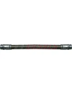CASALS67113