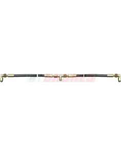 CASALS67120