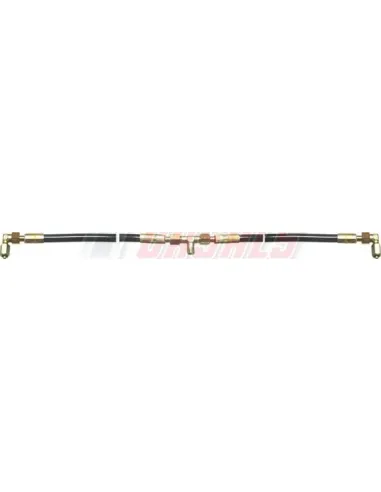 CASALS67120