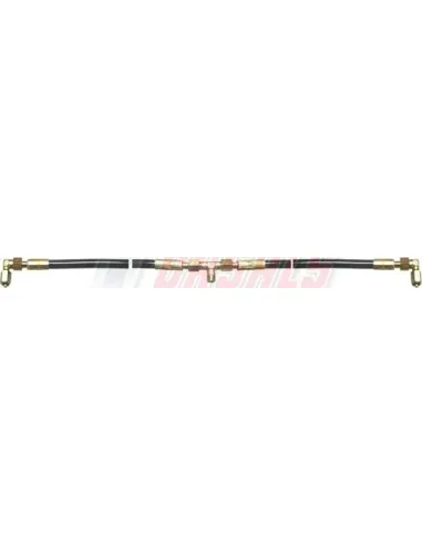 CASALS67133