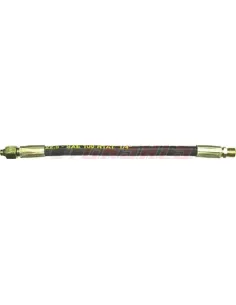 CASALS67147