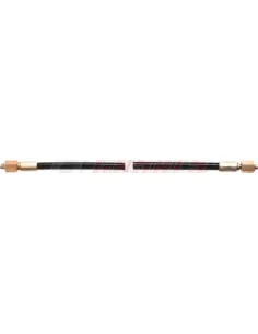 CASALS67160