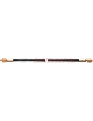 CASALS67160