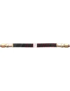 CASALS67166
