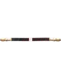 CASALS67167