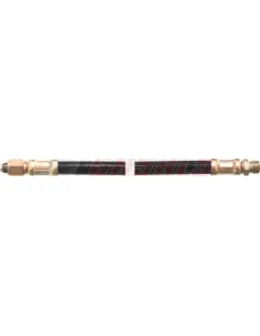 CASALS67184
