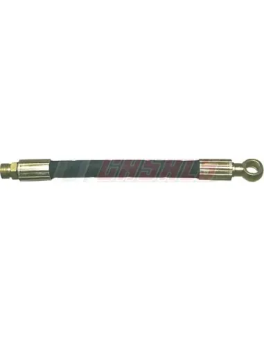 CASALS67186