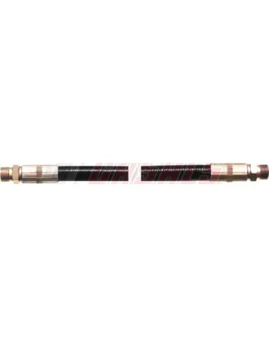 CASALS67188