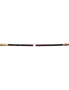 CASALS67205