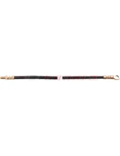 CASALS67208