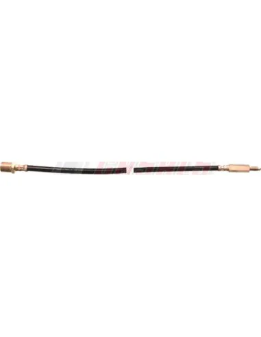 CASALS67210