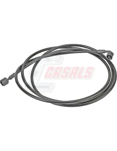 CASALS67279