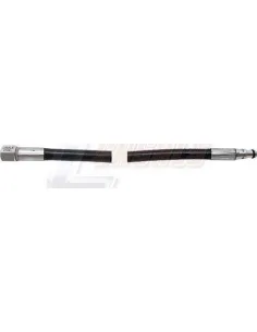 CASALS67290