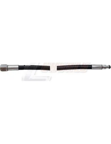 CASALS67291
