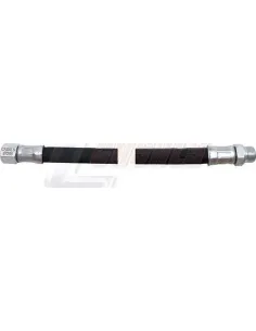 CASALS67299