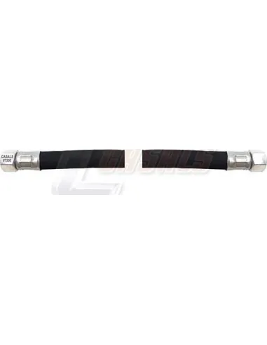 CASALS67300
