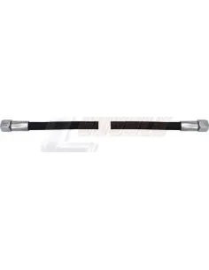 CASALS67304