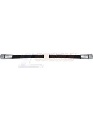 CASALS67304