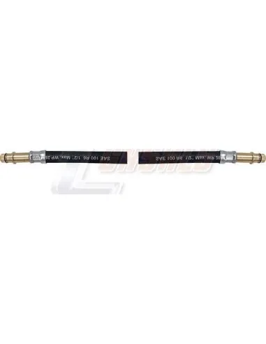 CASALS67310