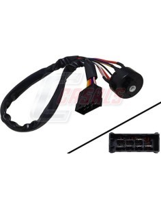 Interruptor Arranque Man 81255016033