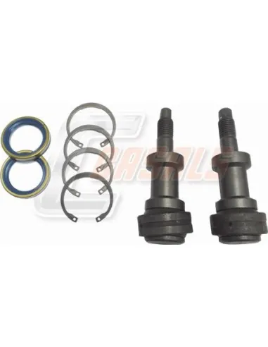 CASALS80910