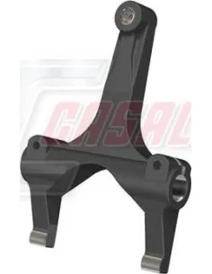 CASALS95118