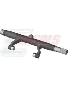 CASALS95125
