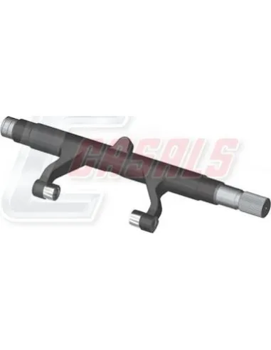 CASALS95125