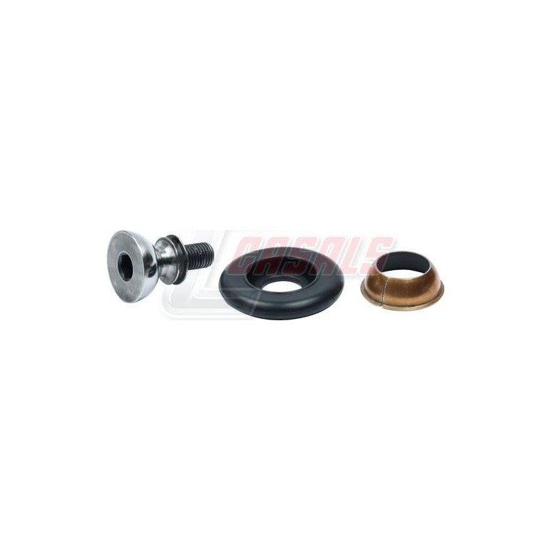 CASALS95217