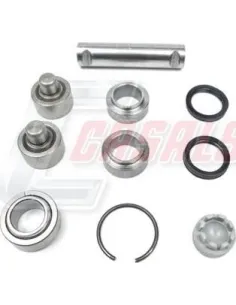 CASALS95223