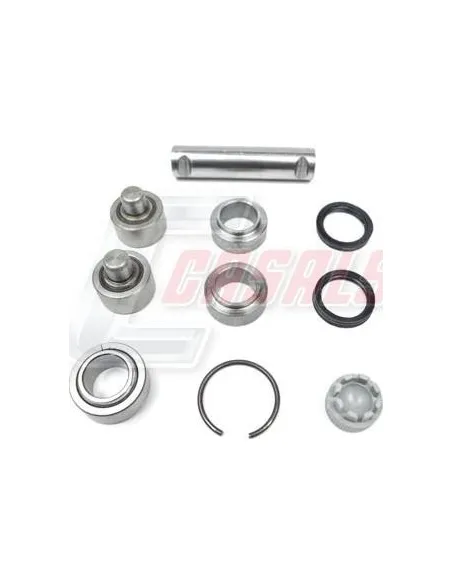 Kit Reparación Horquilla Desembrague DAF CASALS 95223