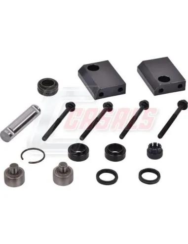 CASALS95225
