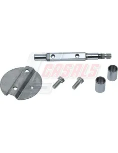 CASALS95307