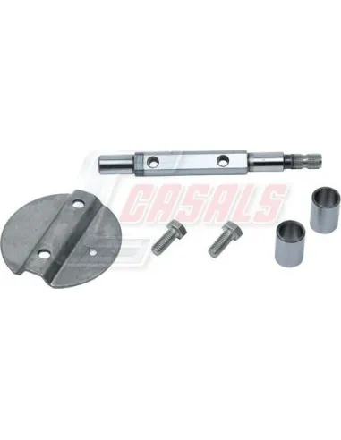 CASALS95307
