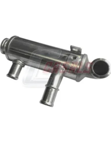 CASALS97104