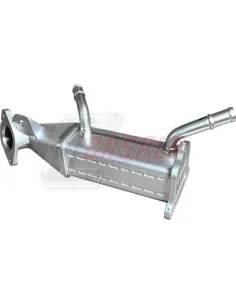 CASALS97105