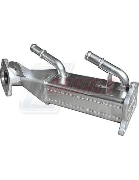 EGR FORD CASALS 97124