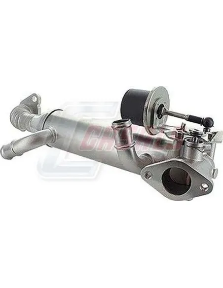 EGR VOLKSWAGEN CASALS 97126