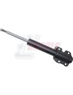 CASALS99205